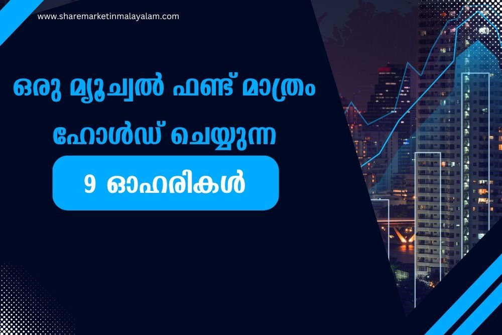 ​സ്റ്റോക്ക് മാർക്കറ്റ് തകർച്ചയ്ക്കിടയിലും ഈ വർഷം 130% വരെ റിട്ടേൺ; ഒരു മ്യൂച്വൽ ഫണ്ട് മാത്രം ഹോൾഡ് ചെയ്യുന്ന 9 ഓഹരികൾ​